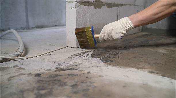 24/7 Emergency Crawl Space Encapsulation experts in East Rutherford, NJ